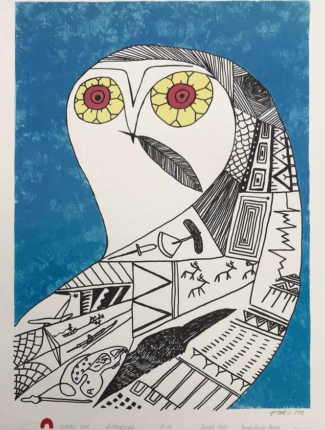 Eclectic Owl by Ningiukulu Teevee