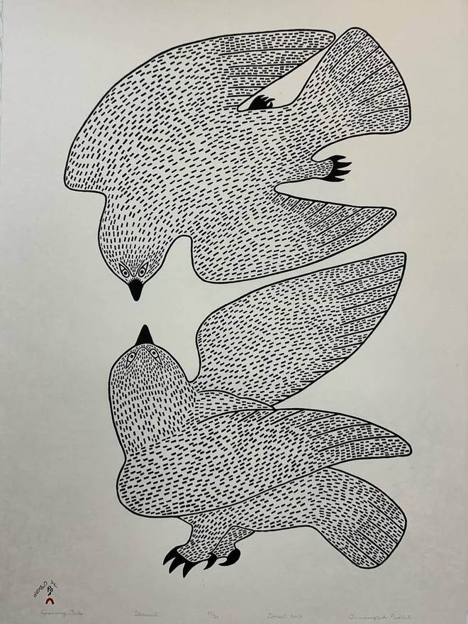 Sparring Owls by Quvianaqtuk Pudlat