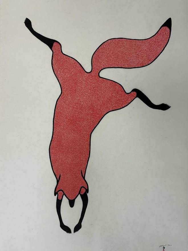 Agile Fox by Quvianaqtuk Pudlat