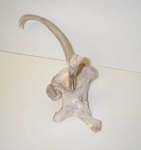 Bird Spirit Antler Bird Spirit Antler